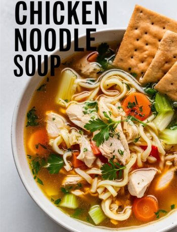 Classic Rotisserie Chicken Noodle Soup
