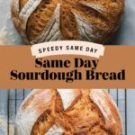 Speedy Same Day Sourdough Bread