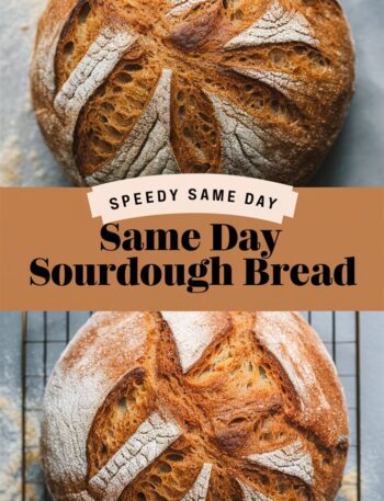 Speedy Same Day Sourdough Bread